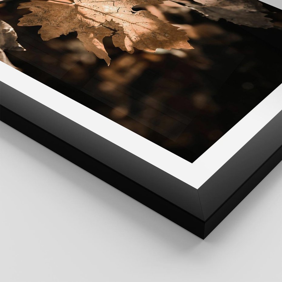 Plakat w ramie 50x70 - Uroczy Liść na Drzewie - jesienny liść, żółty liść na drzewie - rama czarna