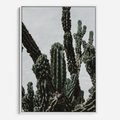 Obraz w ramie 70x100 - Boho oaza wśród kaktusów - kaktusy, pustynia - rama biała