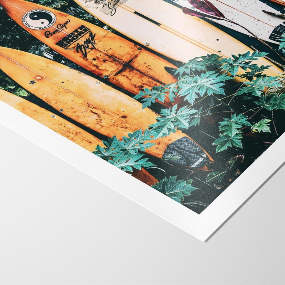 Plakat bez ramy 40x50 - Surfowanie w Harmonii z Naturą - deski surfingowe, oparte o rośliny