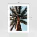 Plakat bez ramy 30x40 - Rajskie Inspiracje: Palma na Niebie - palma, na tle nieba