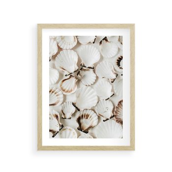 Plakat w ramie 50x70 - Białe Muszle - białe muszle, ujęcie z góry - rama drewno