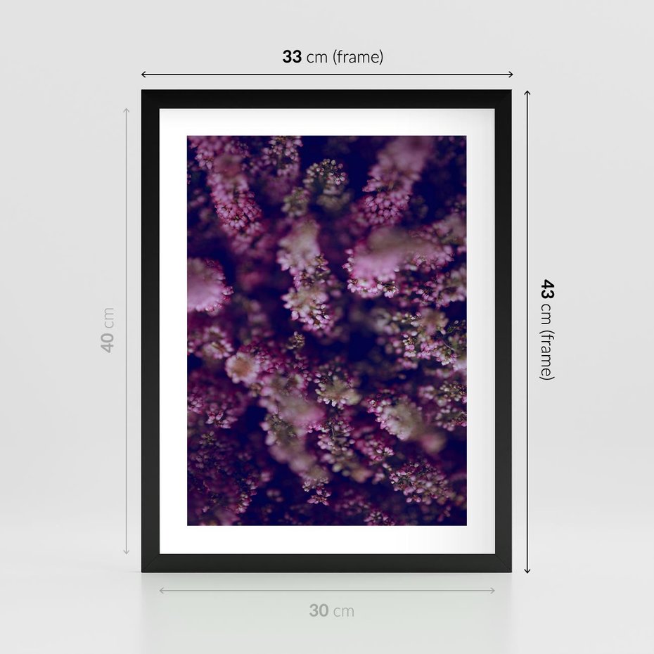 Plakat w ramie 30x40 - Wrzosowa Delikatność - wrzosy, kwiaty - rama czarna