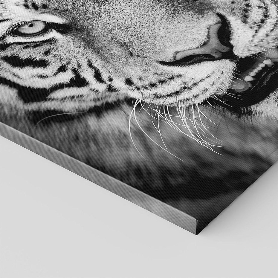 Obraz na płótnie 50x50 - Tygrys Czarno-Biały: Siła i Delikatność - tygrys, czarno