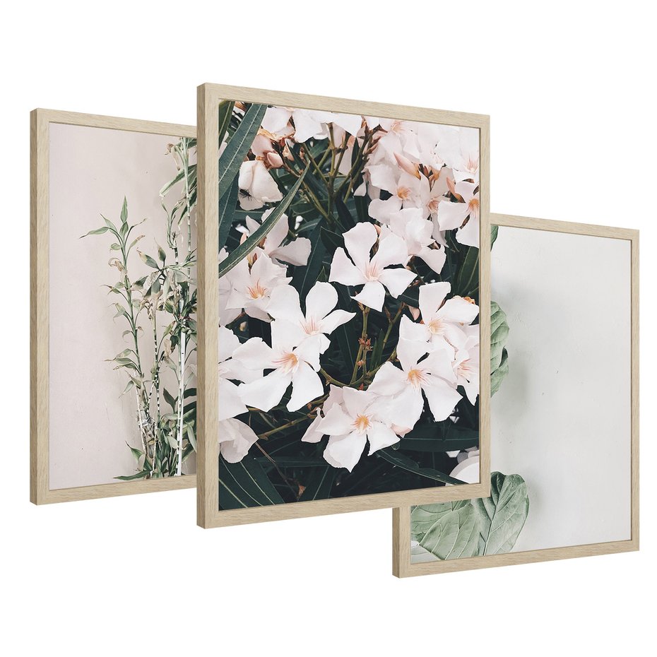 Zestaw obrazy w ramie 30x40 galeria - Liście, kwiaty, nowoczesny, styl - rama drewno