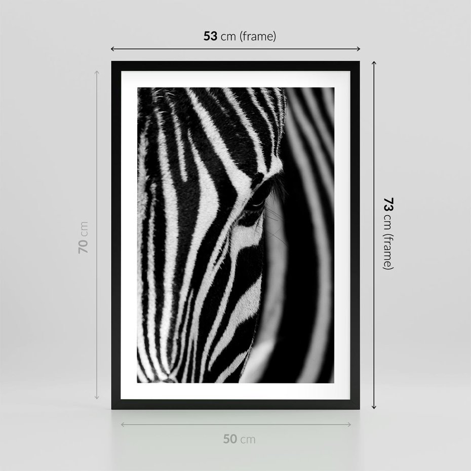 Plakat w ramie 50x70 - Pasy Zebr - zebra, paski - rama czarna