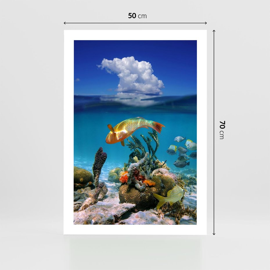 Plakat bez ramy 50x70 - Podwodna rafa koralowa: kolorowy oceanowy świat - rafa, koralowa
