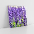 Obraz na płótnie 50x50 - Lawendowa Mgła - lawenda, kwiat