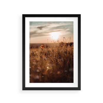 Plakat w ramie 40x50 - Zachwyt zachodem słońca na łące - zachód, słońca - rama czarna