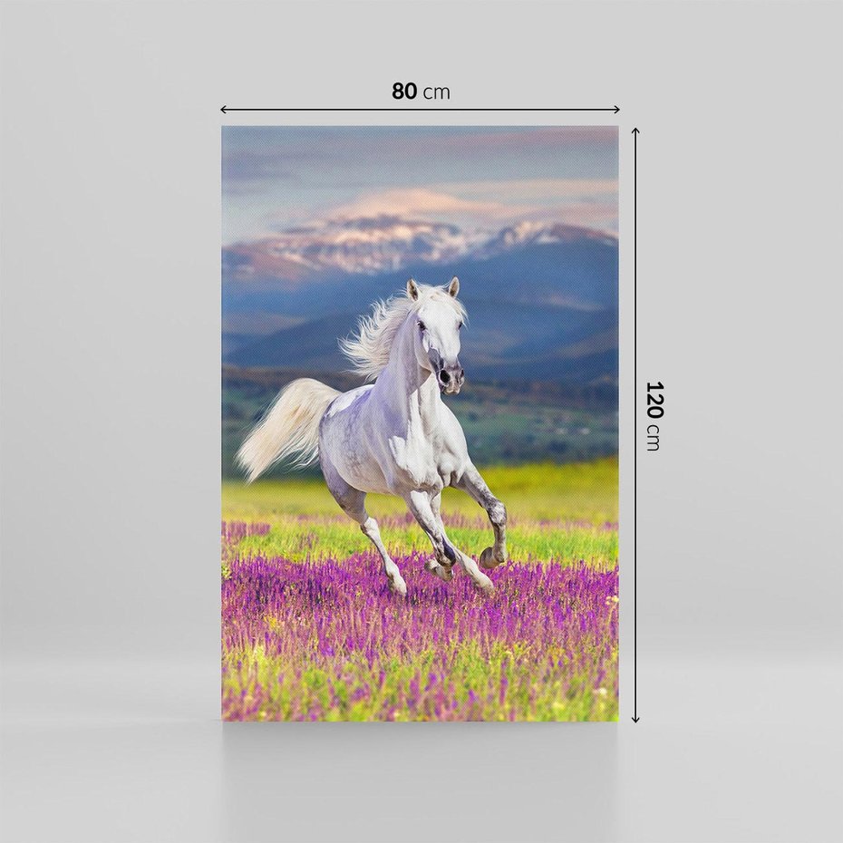 Obraz na płótnie 80x120 - Koń Góry: Spotkanie z Wielką Przyrodą - koń, góry