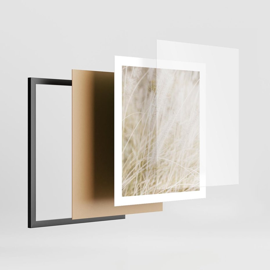 Plakat w ramie 40x50 - Białe Trawy Pampas - suche trawy, białe trawy - rama czarna