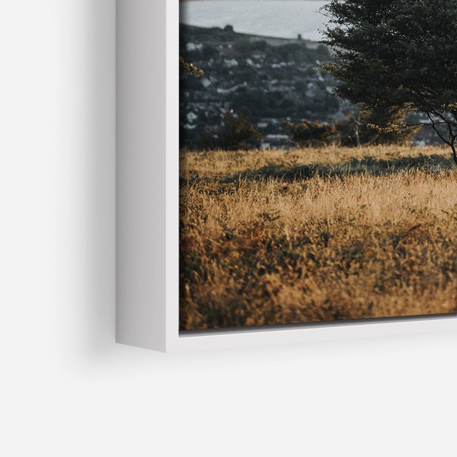 Obraz w ramie 50x70 - Siła Natury - drzewo, pejzaż - rama biała