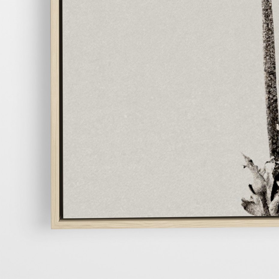 Obraz w ramie 80x120 - Kwiatowa Symfonia w Szarościach - czarno biała odbitka, jak fotografia - rama drewno