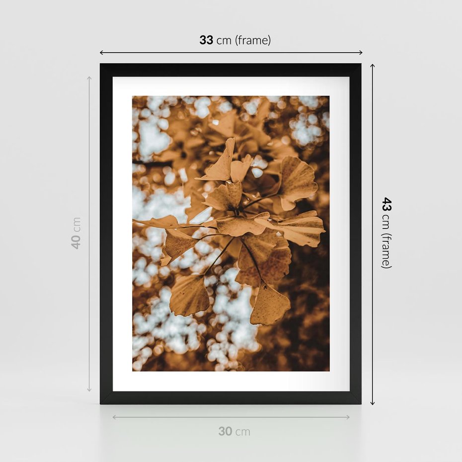 Plakat w ramie 30x40 - Nostalgiczny Miłorząb - miłorząb, liście - rama czarna