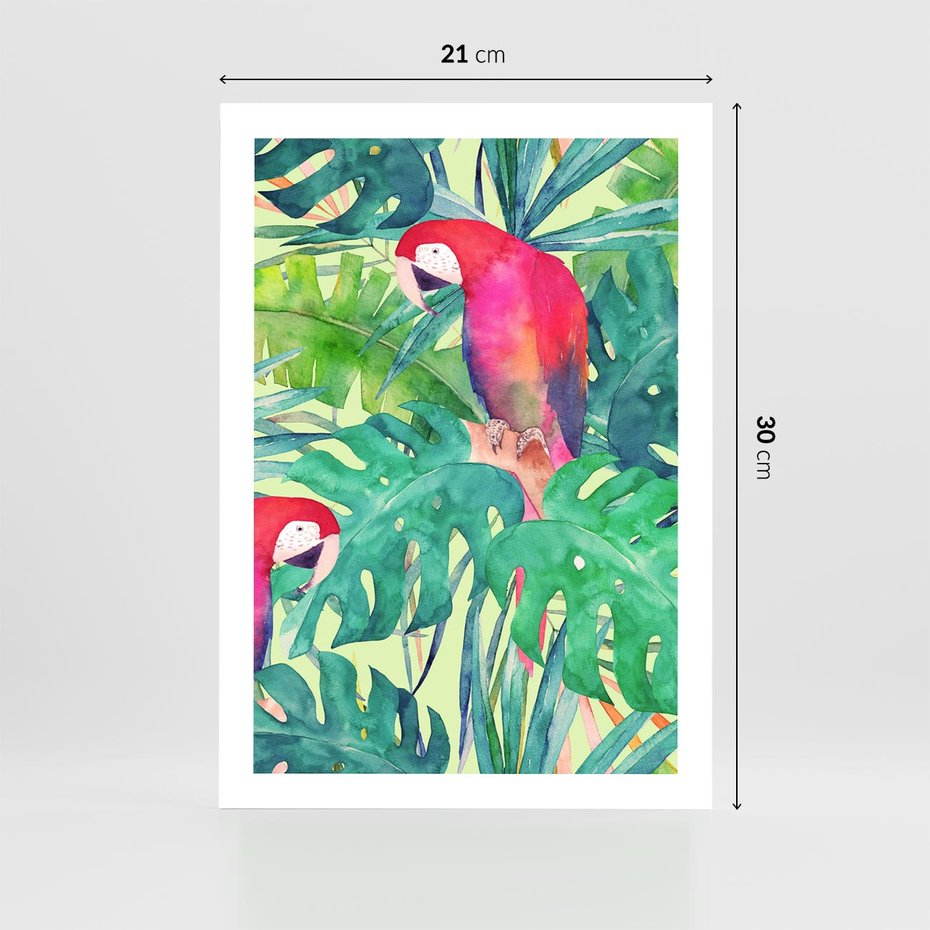 Plakat bez ramy 21x30 - Egzotyczna Przygoda - tropikalne, liście