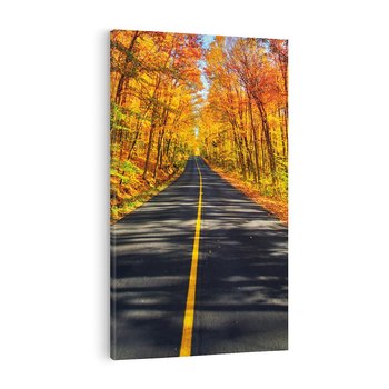 Obraz na płótnie 70x100 - Droga przez jesienny las - droga, las