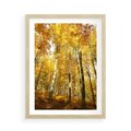 Plakat w ramie 50x70 - Jesienny Las - Kolorowa Paleta Natury - jesień, drzewa - rama drewno