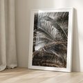 Plakat bez ramy 30x40 - Liściaste Palmy - palmy, drzewa palmowe