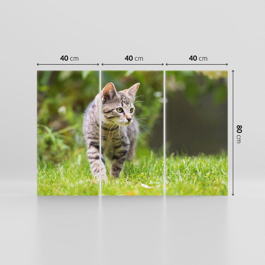 Obraz na płótnie 120x80 - Kocie polowanie w ogrodzie - kot, polowanie