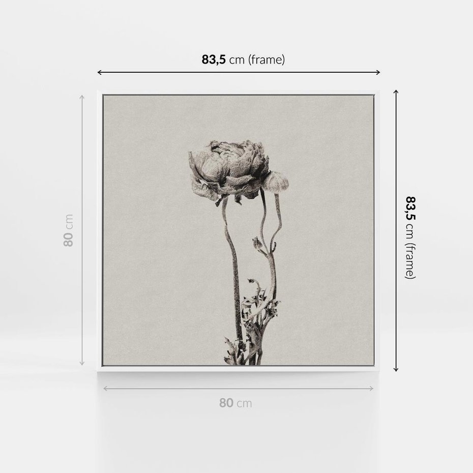 Obraz w ramie 80x80 - Kwiatowa Symfonia w Szarościach - czarno biała odbitka, jak fotografia - rama biała