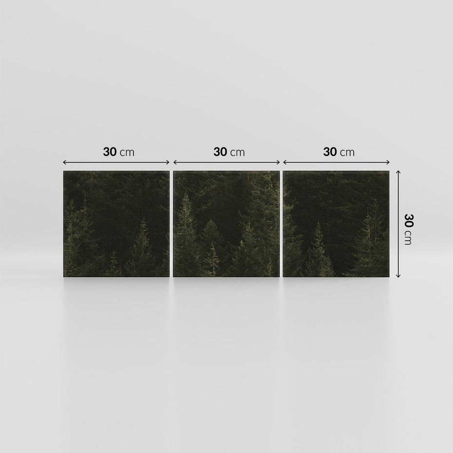 Obraz na płótnie 90x30 - Ciemny las iglasty - las, iglasty