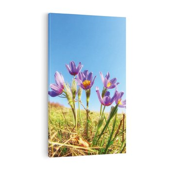 Obraz na płótnie 50x70 - Kwiatowa siła łąki - kwiaty, łąka