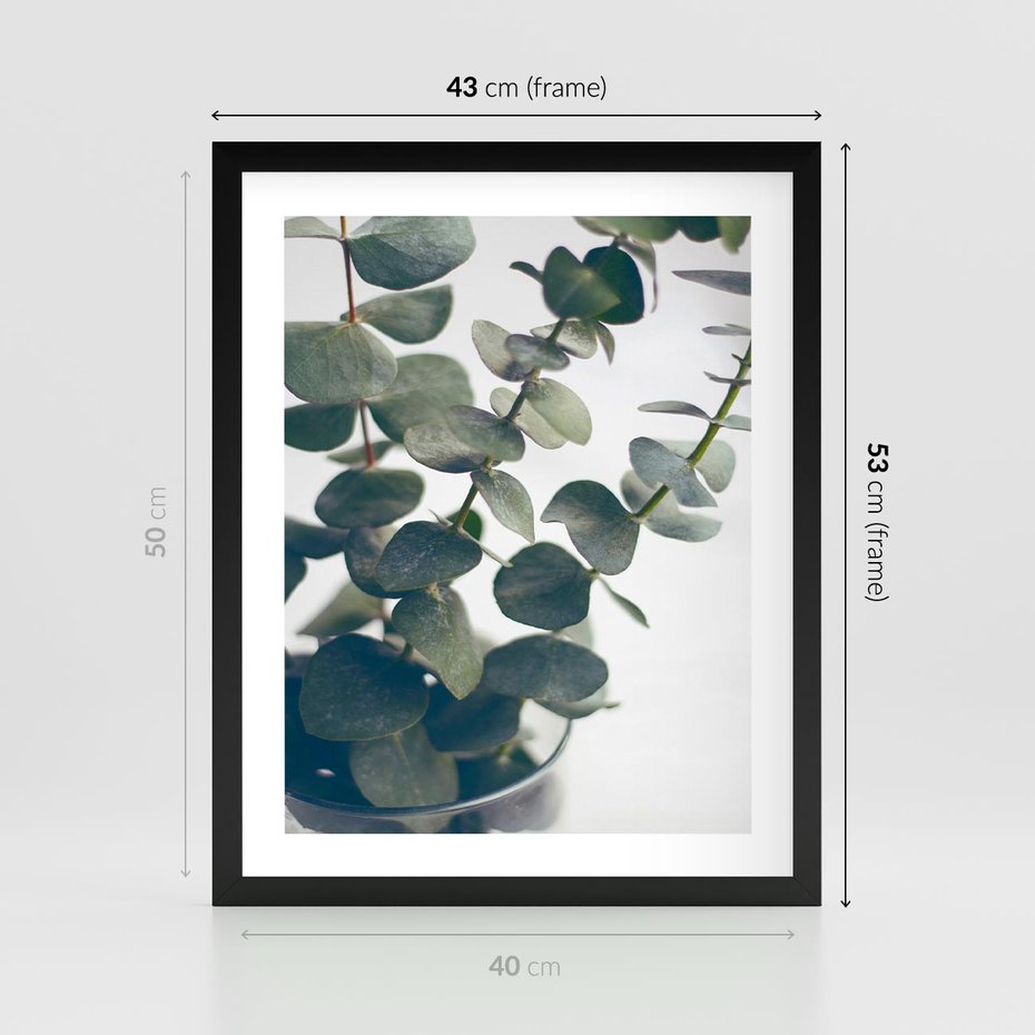 Plakat w ramie 40x50 - ukaliptusowa Harmonia - liście eukaliptusa - rama czarna