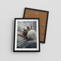 Plakat w ramie 30x40 - Makro Dmuchawiec - dmuchawiec, zbliżenie - rama czarna