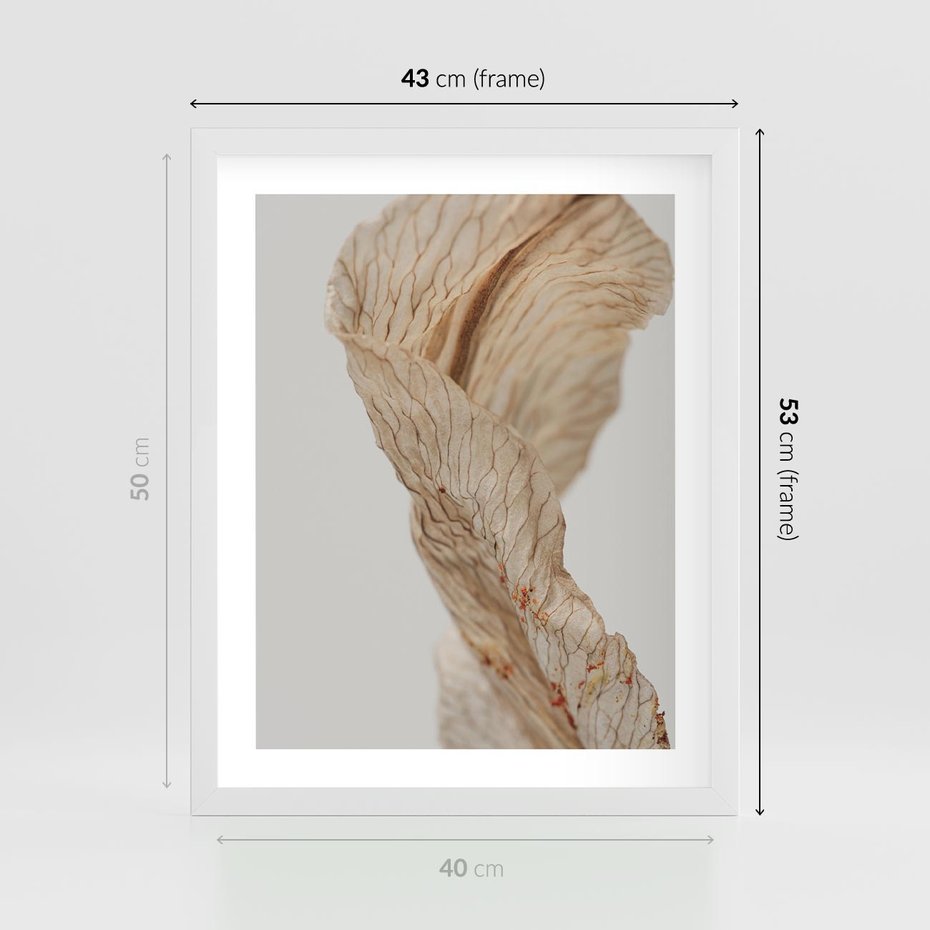 Plakat w ramie 40x50 - Suszone piękno - susz, suche - rama biała
