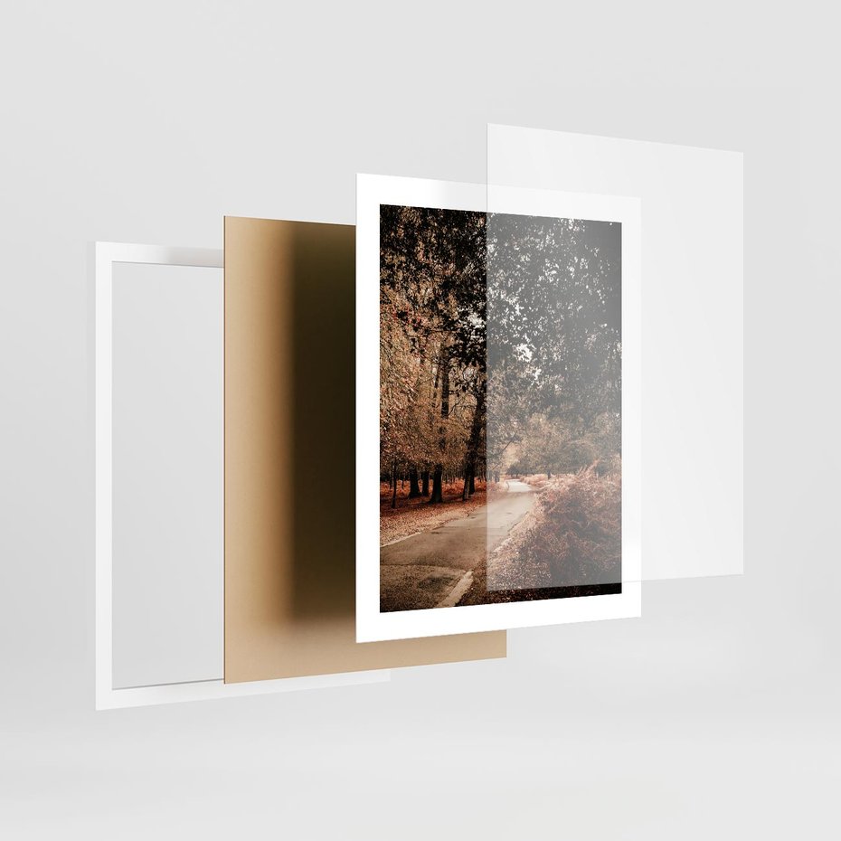 Plakat w ramie 40x50 - Magia Jesieni: Pejzaż Parku w Odcieniach Żółci - jesień, park - rama biała