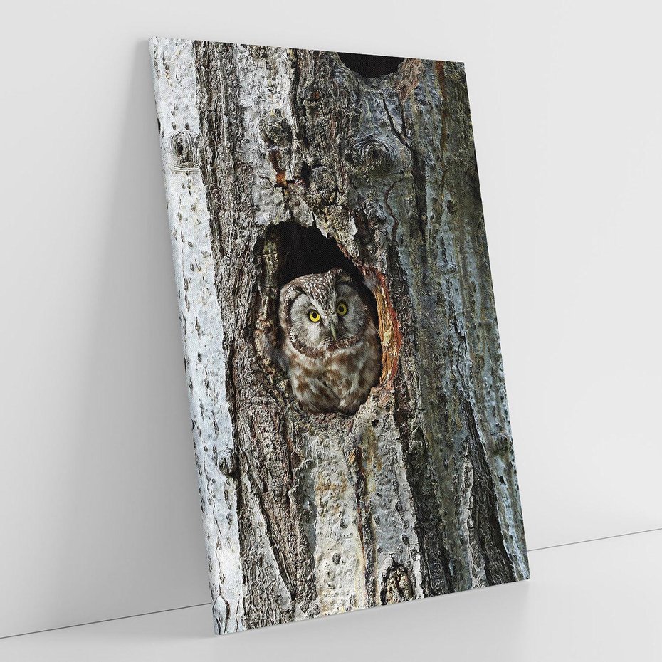 Obraz na płótnie 50x70 - Tajemniczy W świecie Nocy - sowa, dziupla