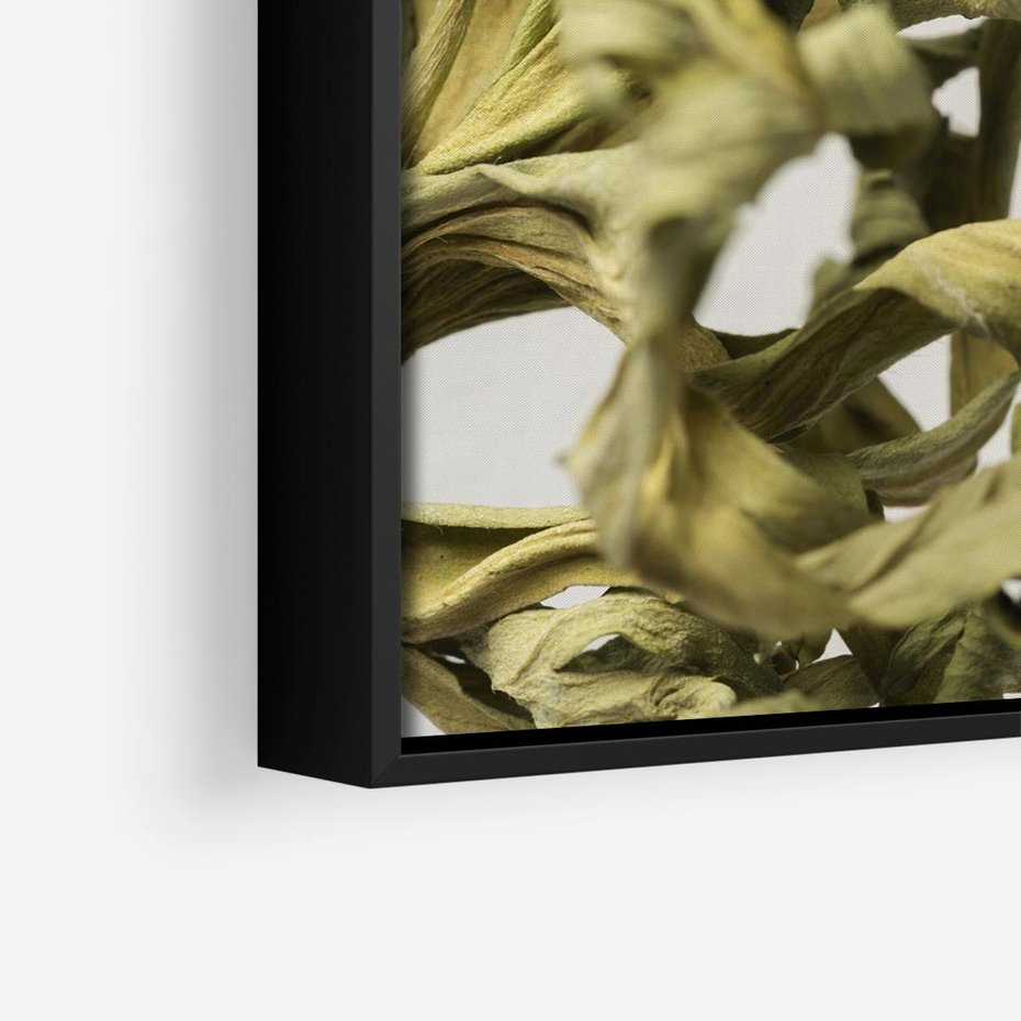 Obraz w ramie 50x50 - Odejście pory deszczowej - suche, trawy - rama czarna