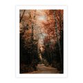 Plakat bez ramy 40x50 - Drzewa w Czerwonych Liściach - las, jesienny las