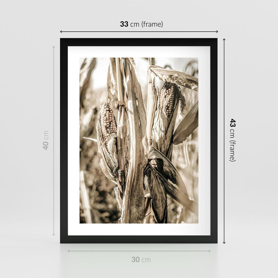 Plakat w ramie 30x40 - Retro Pole Kukurydzy - retro zdjęcie, sepia - rama czarna