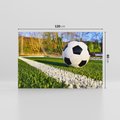 Obraz na płótnie 120x80 - Pasja na Boisku: Piłka Nożna - boisko, piłka