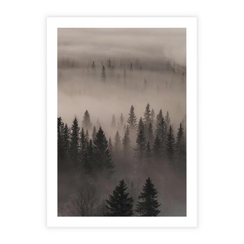 Plakat bez ramy 30x40 - Mglista Opowieść Lasu - las, mgła