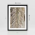 Plakat w ramie 30x40 - Boho Urok Palmy: Zbliżenie Natury - sucha palma, zbliżenie - rama czarna