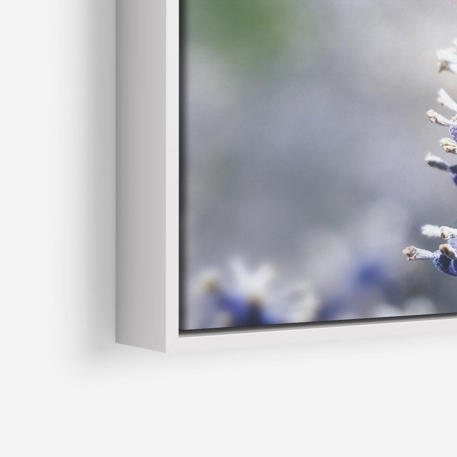 Obraz w ramie 120x80 - Delikatna Uroda Natury - wrzosy, fiolet - rama biała