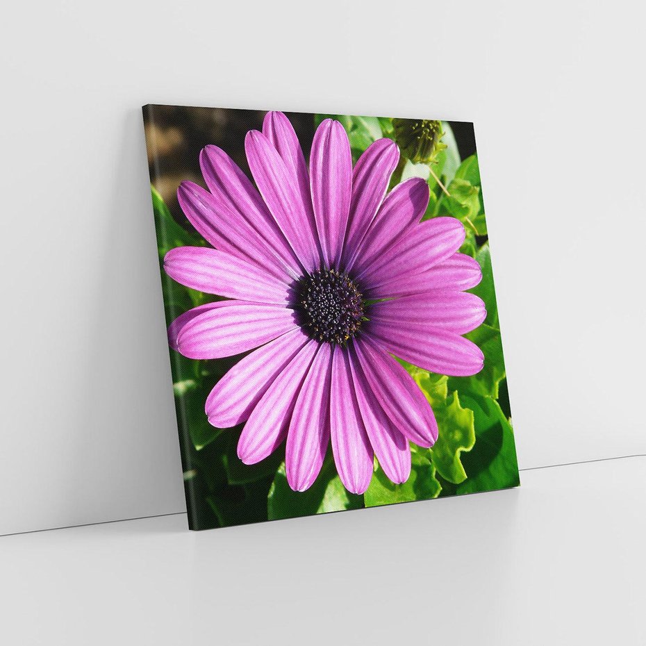 Obraz na płótnie 50x50 - Kwiatowy Dotyk - kwiat, kwiaty