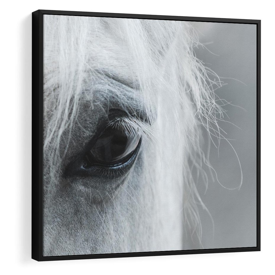 Obraz w ramie 50x50 - Oko Mocy - czarno białe zdjęcie, zbliżenie makro na oko konia - rama czarna