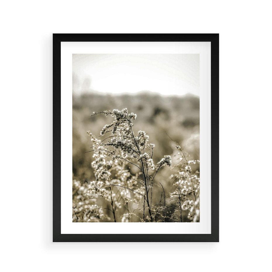 Plakat w ramie 40x50 - Pampas i Bocho - suche trawy, bocho - rama czarna