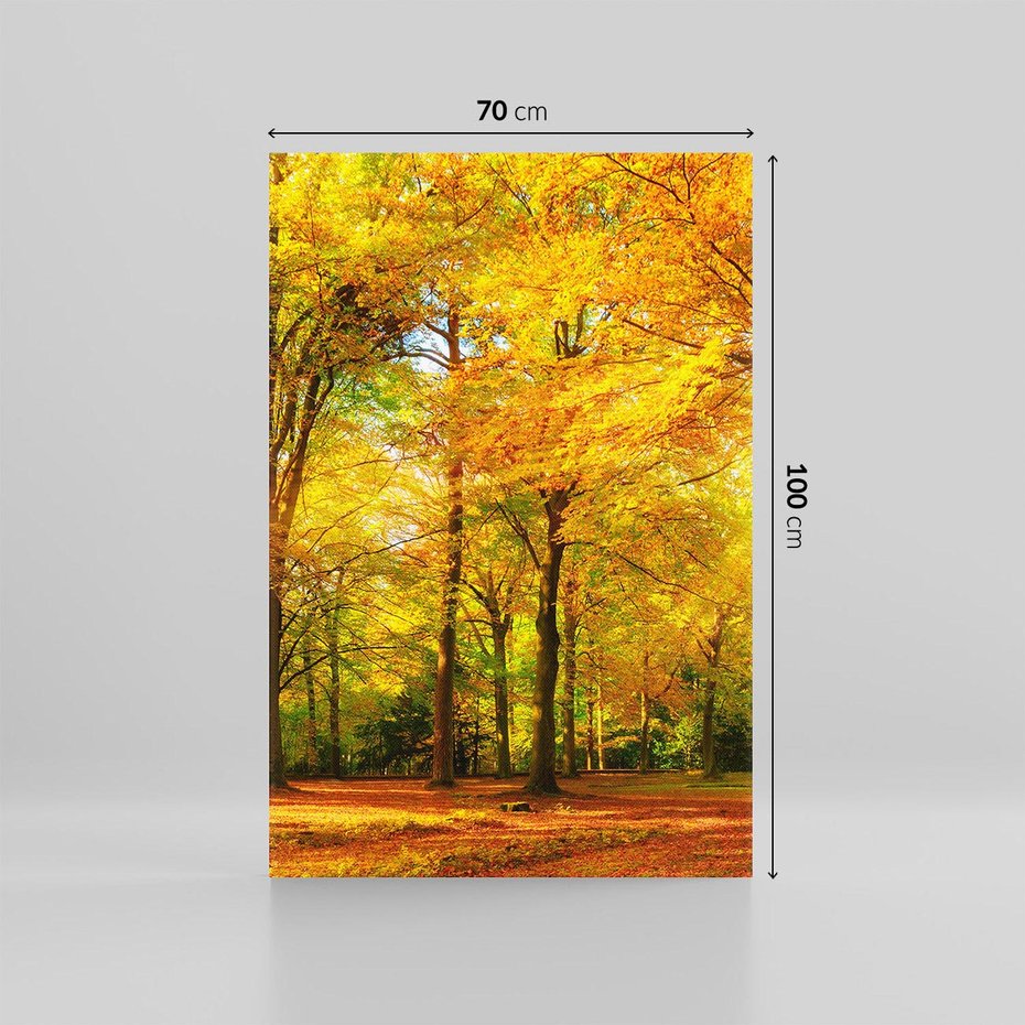 Obraz na płótnie 70x100 - Urok jesiennego lasu - las, drzewa