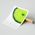 Plakat bez ramy 30x40 - Świeżość i kwasowość limonki - limnka, owoce