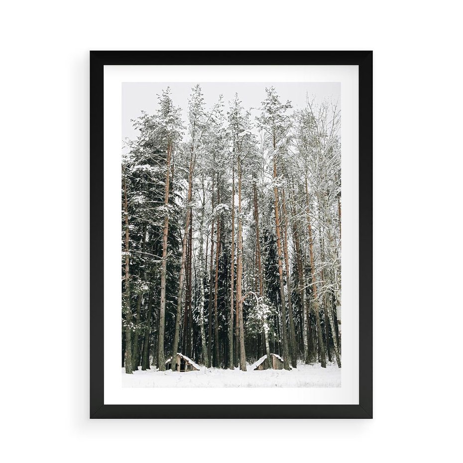 Plakat w ramie 50x70 - Sypiący Śnieg - las w zimie, drzewa pod śniegiem - rama czarna