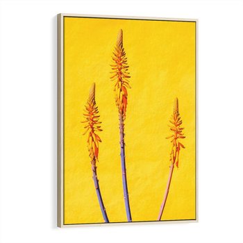 Obraz w ramie 50x70 - Radość Natury - kolor, kwiaty - rama drewno