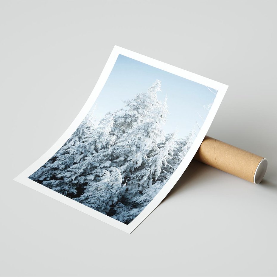 Plakat bez ramy 30x40 - Magia Śnieżnych Drzew - zima, iglaste drzewa