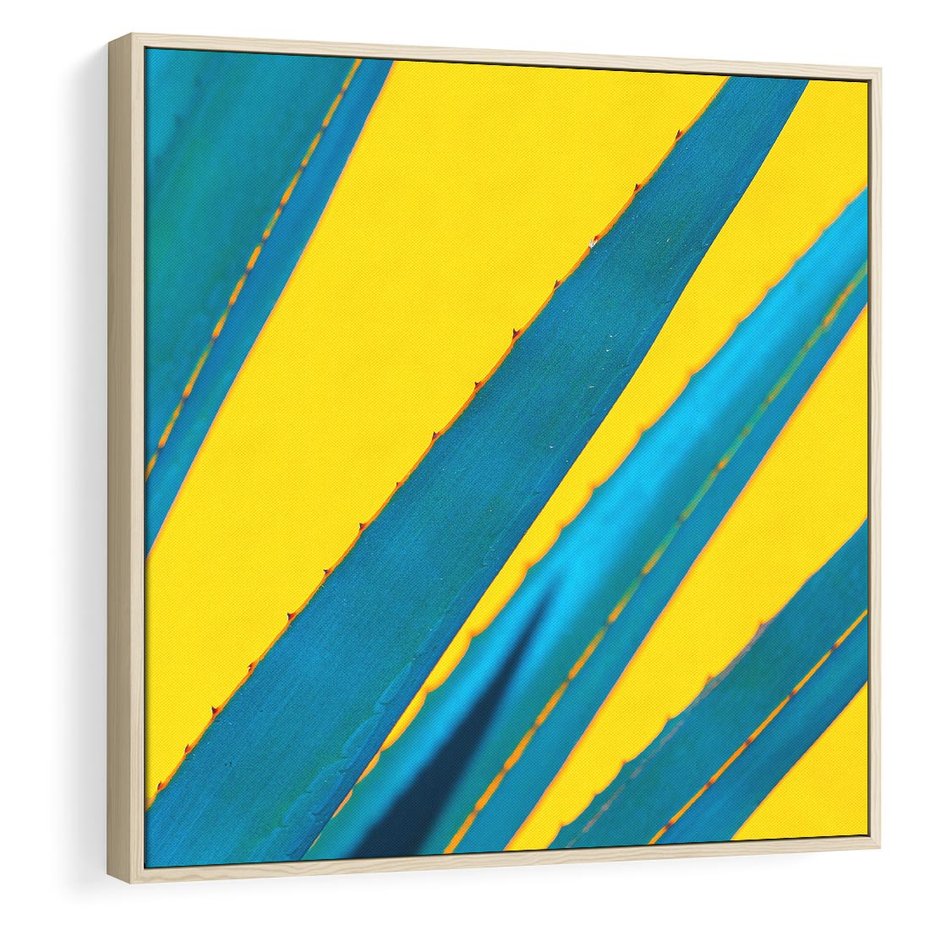Obraz w ramie 50x50 - Świeżość Natury - aloes, liście - rama drewno
