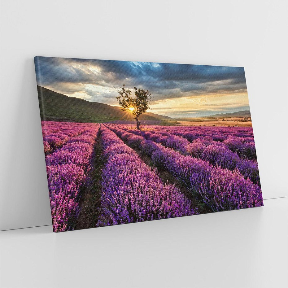 Obraz na płótnie 120x80 - Lawenda: Pachnący ogród natury - lawenda, kwiaty