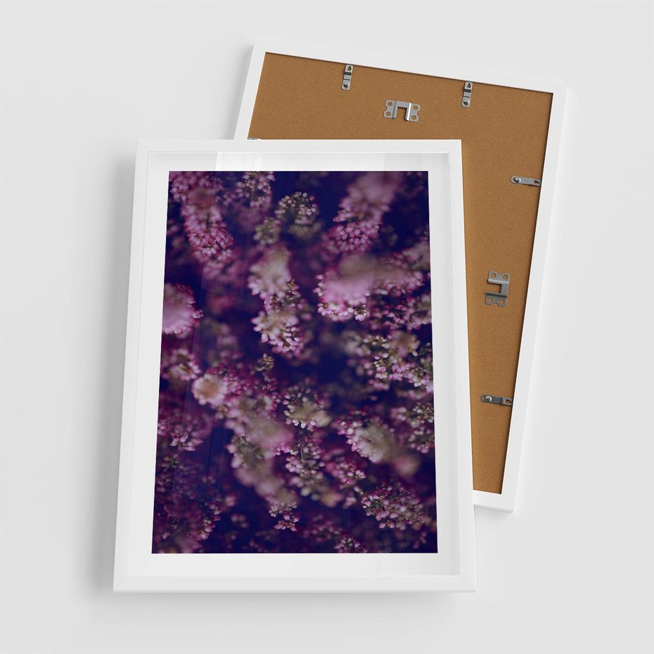 Plakat w ramie 50x70 - Wrzosowa Delikatność - wrzosy, kwiaty - rama biała