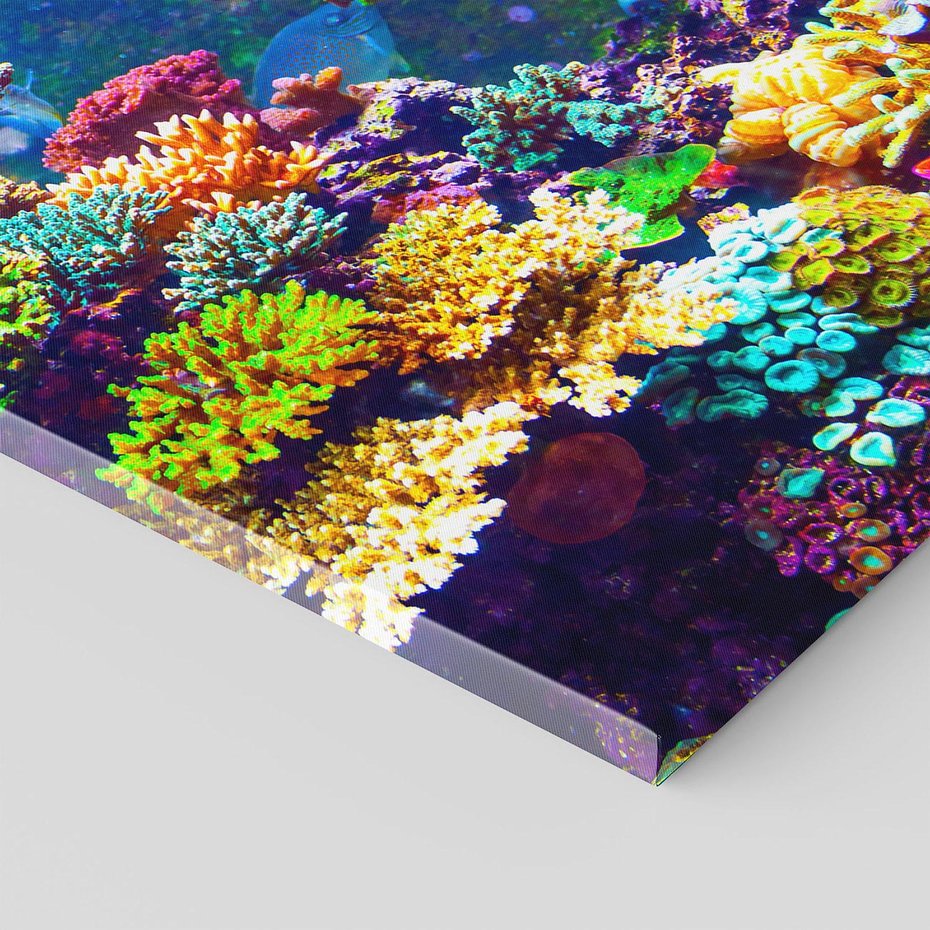 Obraz na płótnie 80x120 - Podwodne Zaczarowanie - kolorowa rafa koralowa, ukwiały