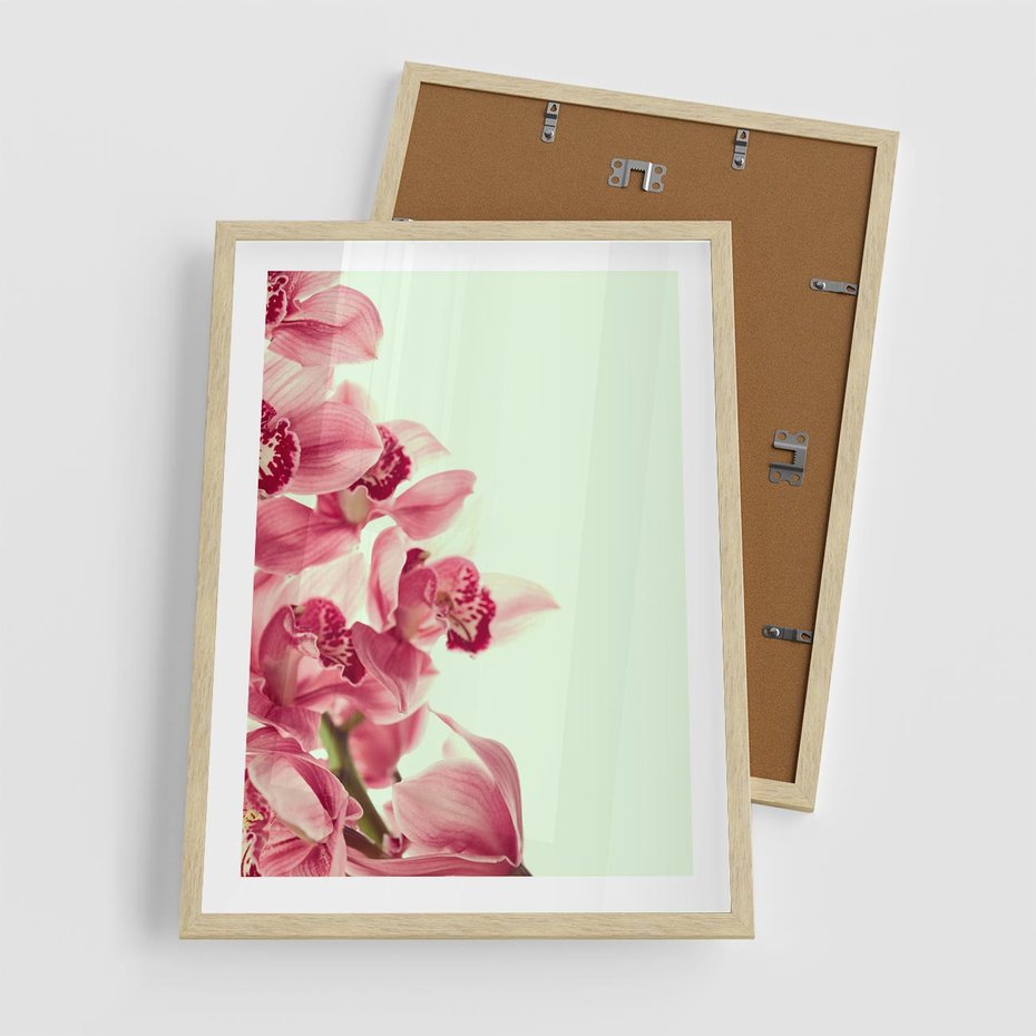 Plakat w ramie 50x70 - Orchidea - delikatne kwiaty - orchidea, kwiaty - rama drewno
